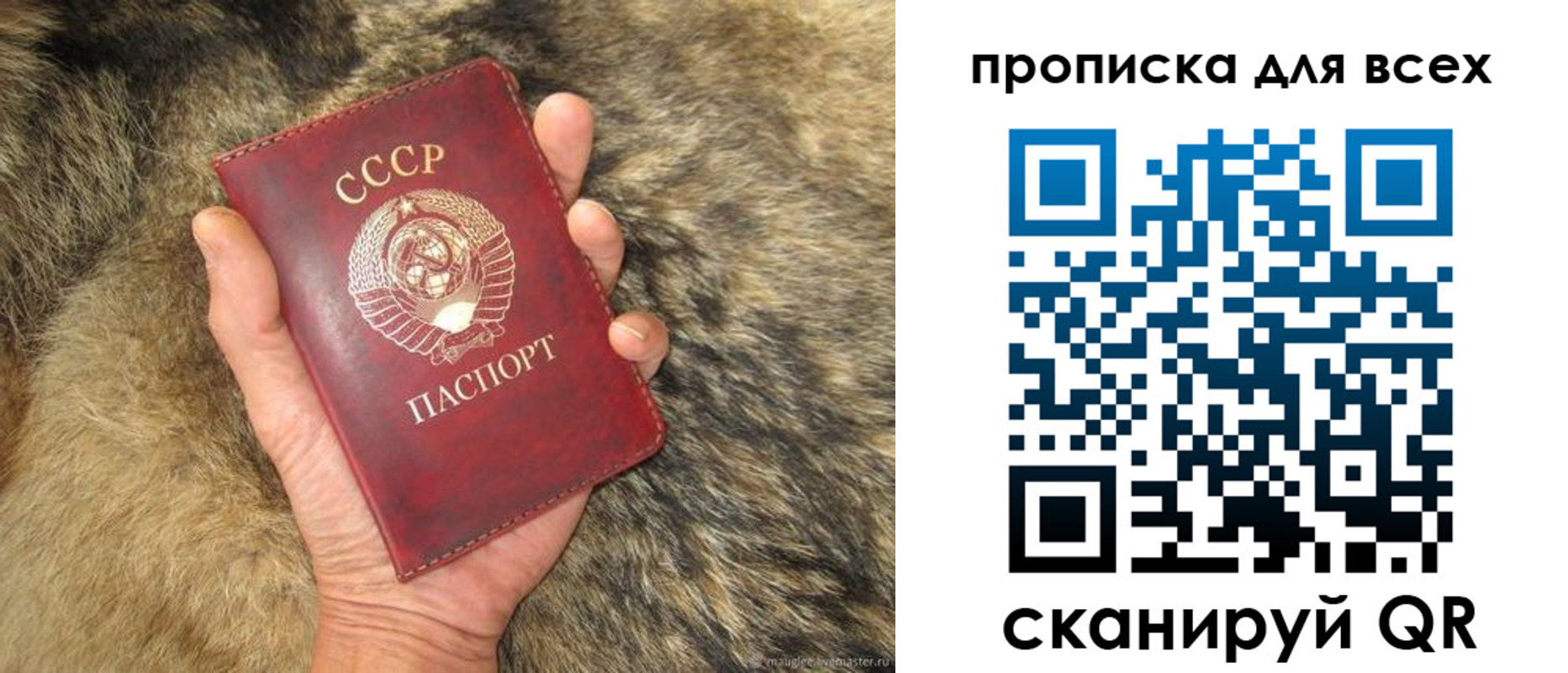 прописка в квартире в Благодарном